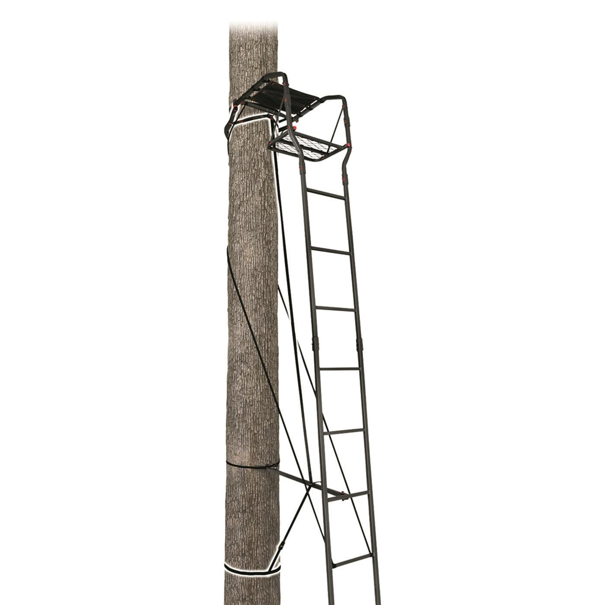 15’ Single Person Ladder Tree Stand T43364