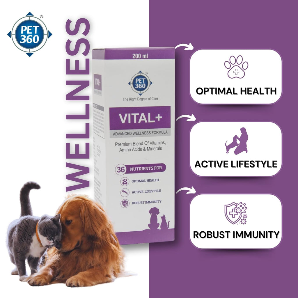 Multivitamin Syrup Nutritional Supplement for Dogs & Cats 200 ml Q1706