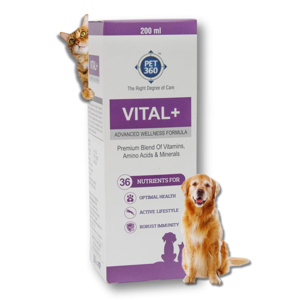 Multivitamin Syrup Nutritional Supplement for Dogs & Cats 200 ml Q1706
