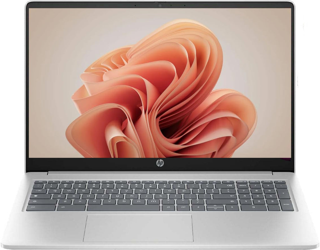 15.6in Silver Chromebook D882686