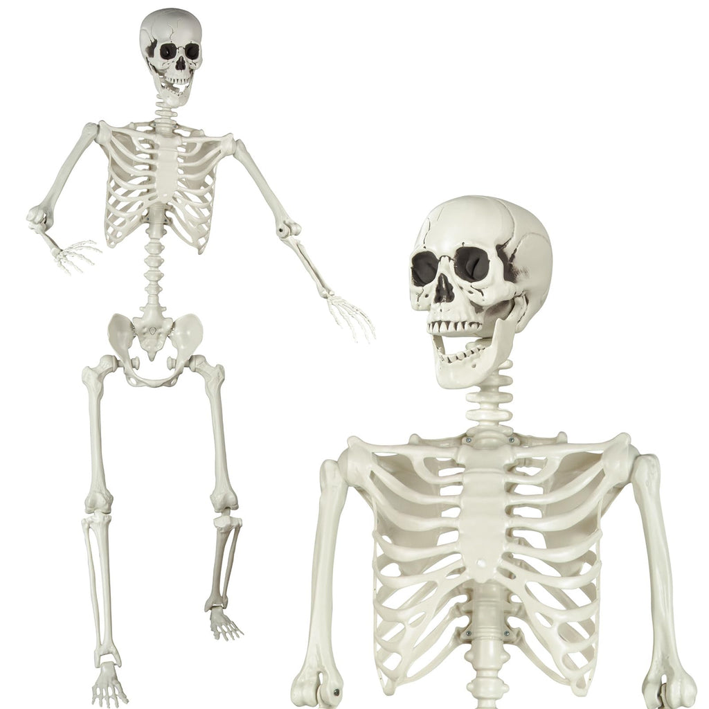 5.4ft Posable Skeleton W567208