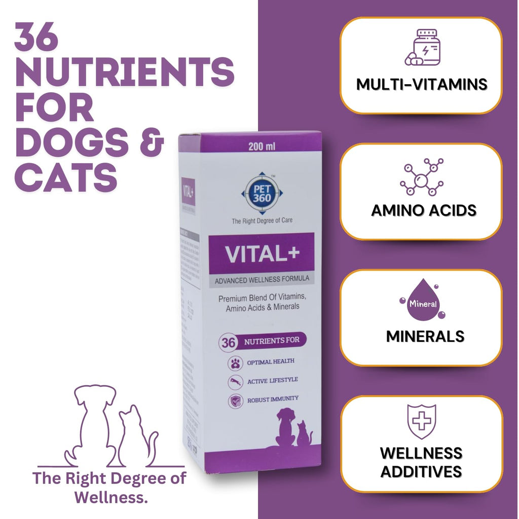 Multivitamin Syrup Nutritional Supplement for Dogs & Cats 200 ml Q1706