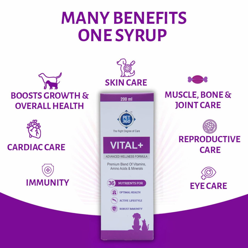 Multivitamin Syrup Nutritional Supplement for Dogs & Cats 200 ml Q1706
