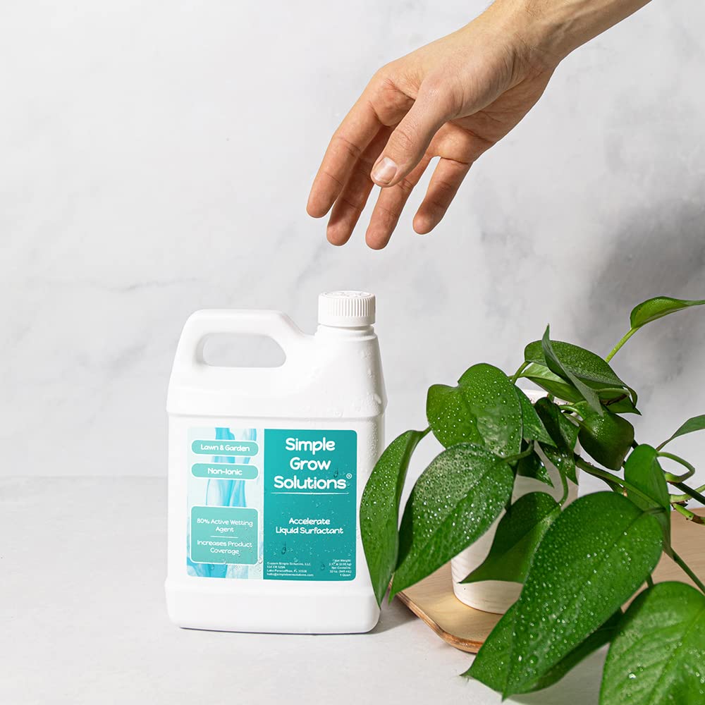 Liquid Non-Ionic Surfactant 32 Ounce O591