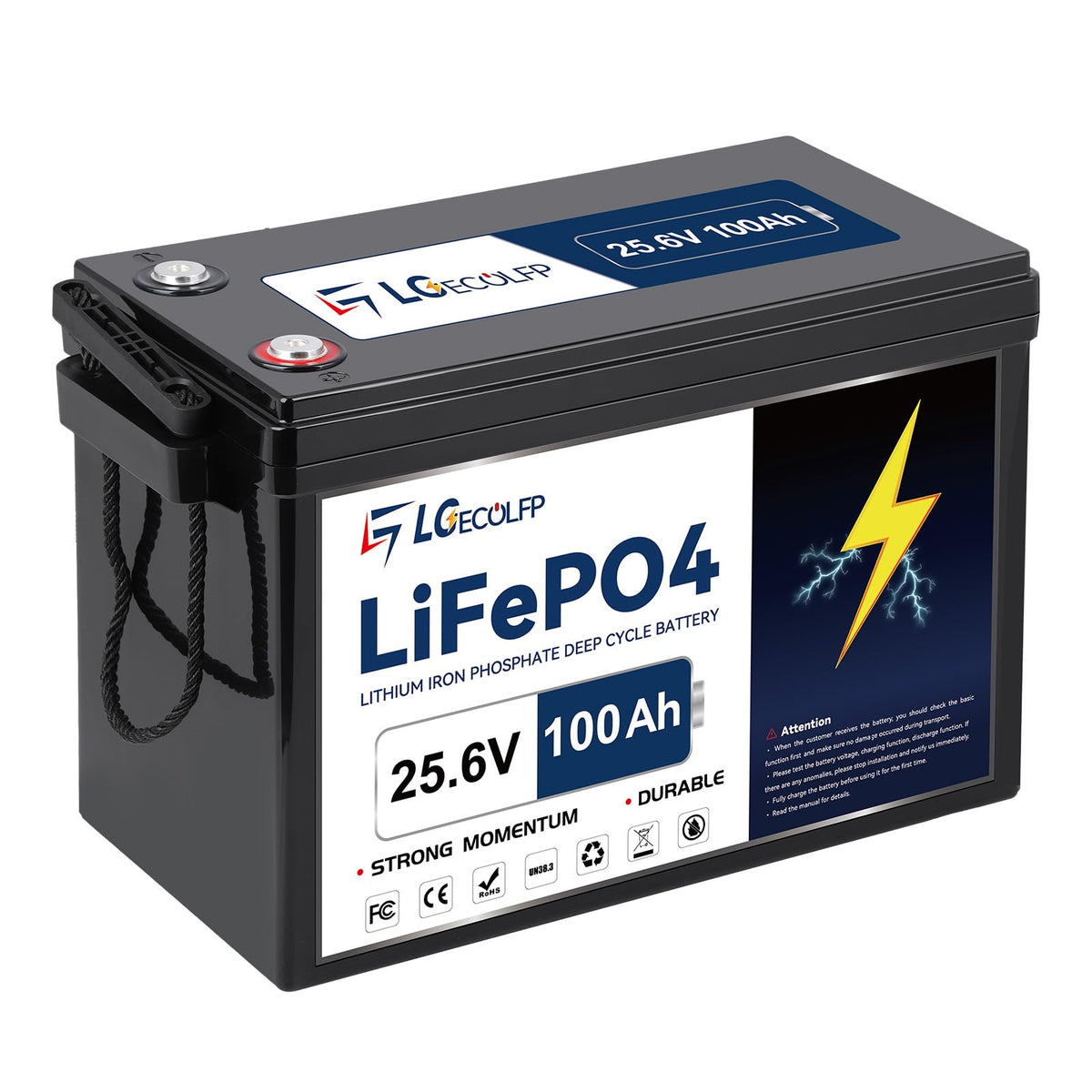 24V 100Ah LiFePO4 Battery with 100A BMS L63106