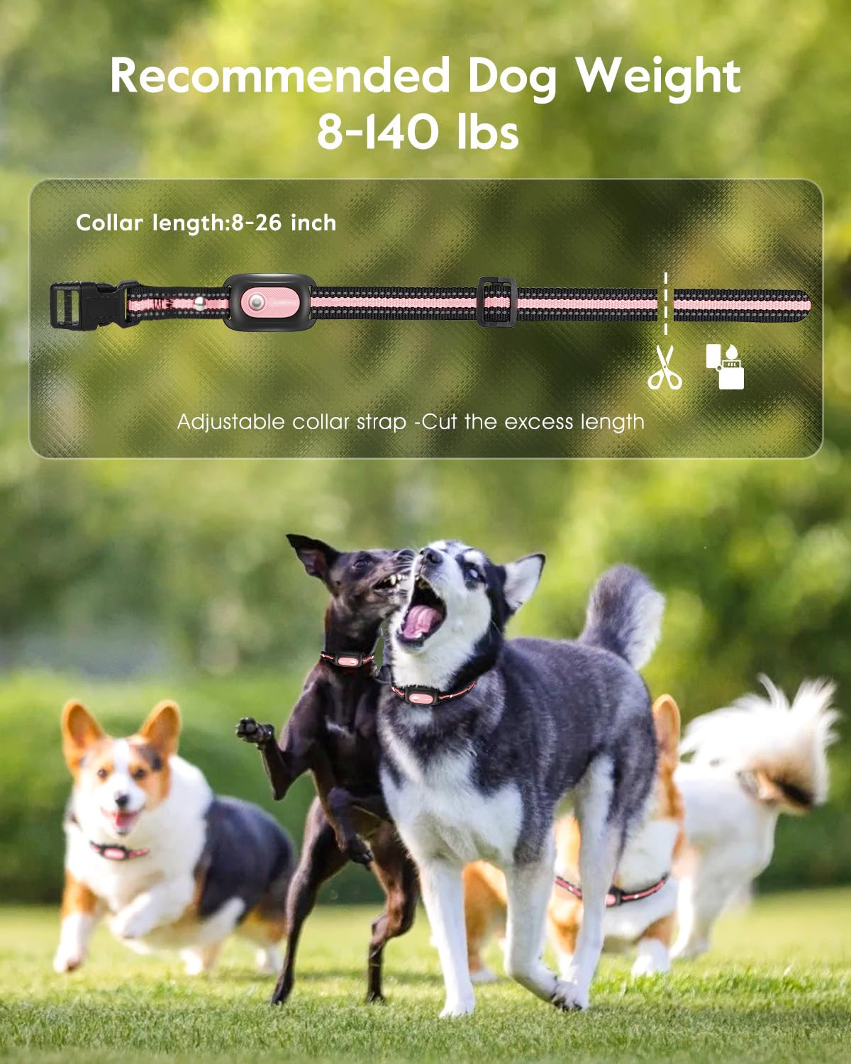 Pink Dog Training Collar with Remote M552
