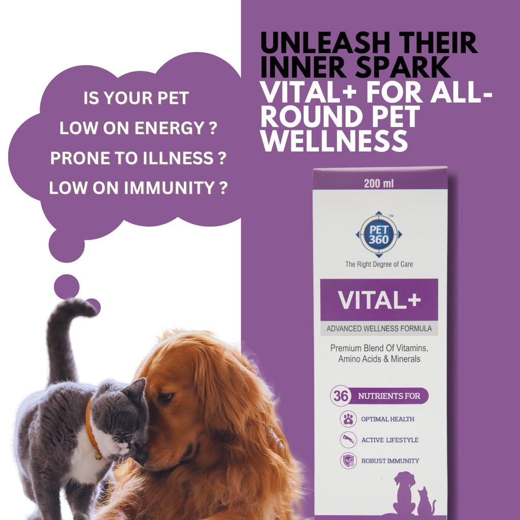 Multivitamin Syrup Nutritional Supplement for Dogs & Cats 200 ml Q1706