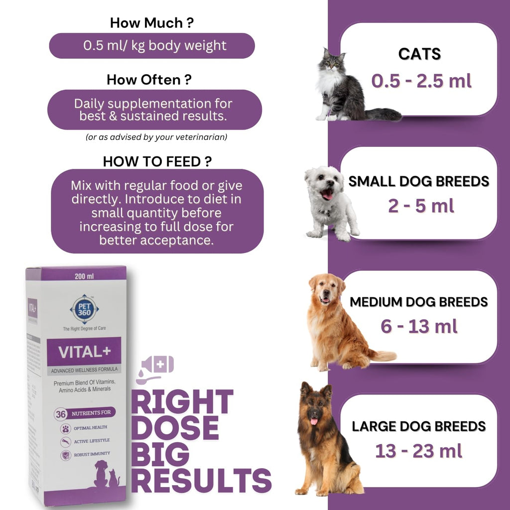 Multivitamin Syrup Nutritional Supplement for Dogs & Cats 200 ml Q1706