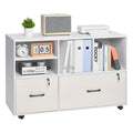 White 2 Drawer Wooden Lockable Mobile File Cabinet F989