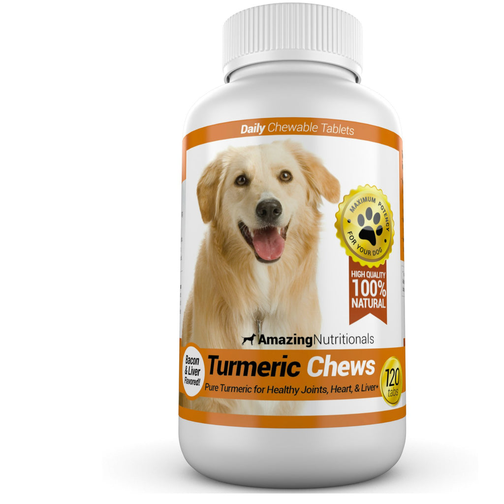 Turmeric Probiotics for Dogs Digestive Health Bundle V723