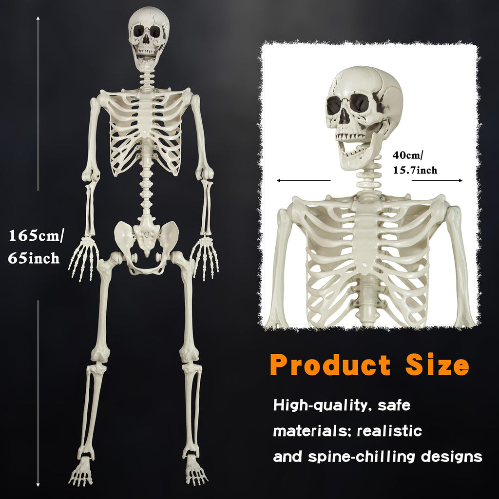 5.4ft Posable Skeleton W567208