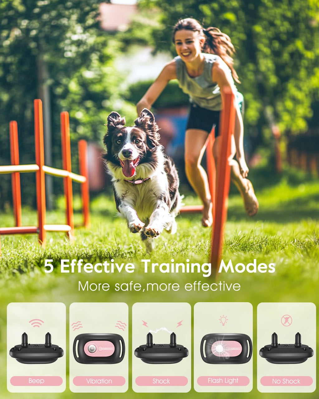 Pink Dog Training Collar with Remote M552