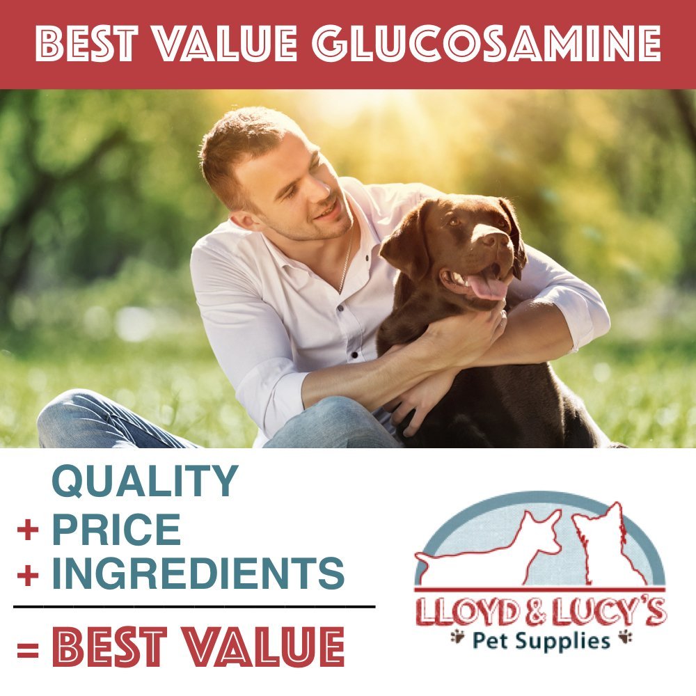Chewable Hip and Joint Supplement for Dogs 180 Ct Tablets E679