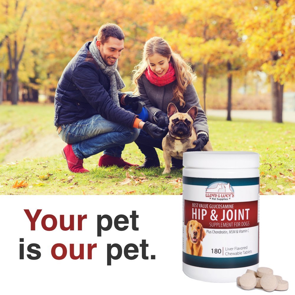 Chewable Hip and Joint Supplement for Dogs 180 Ct Tablets E679