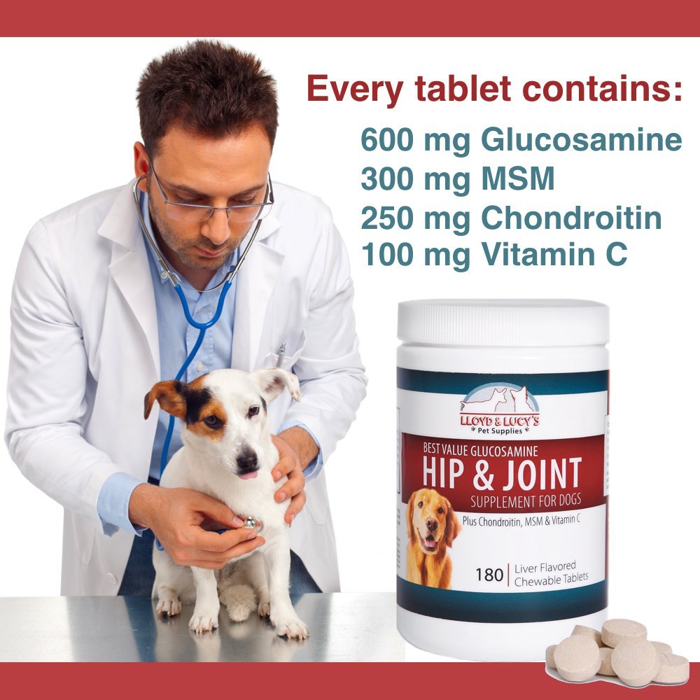 Chewable Hip and Joint Supplement for Dogs 180 Ct Tablets E679