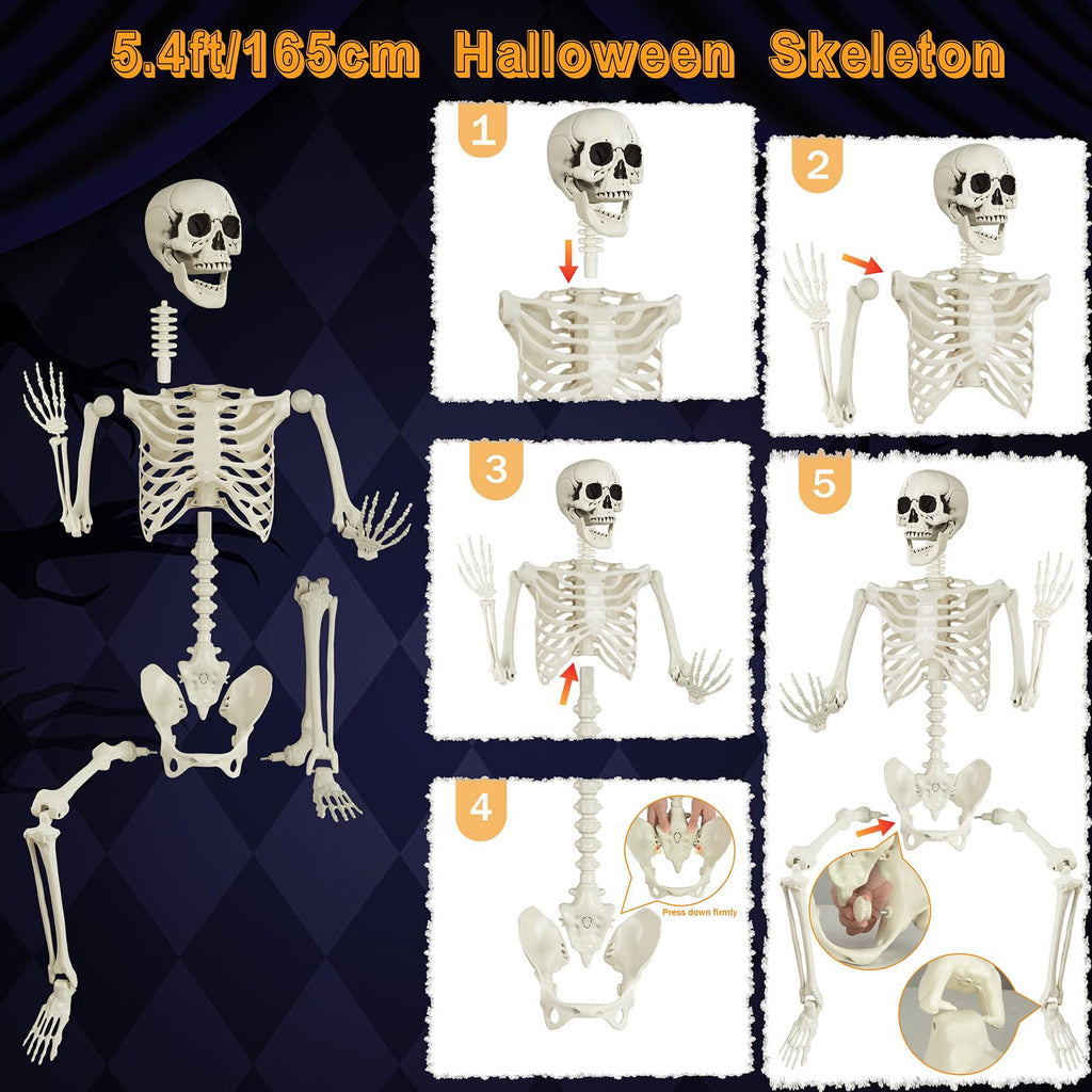 5.4ft Posable Skeleton W567208