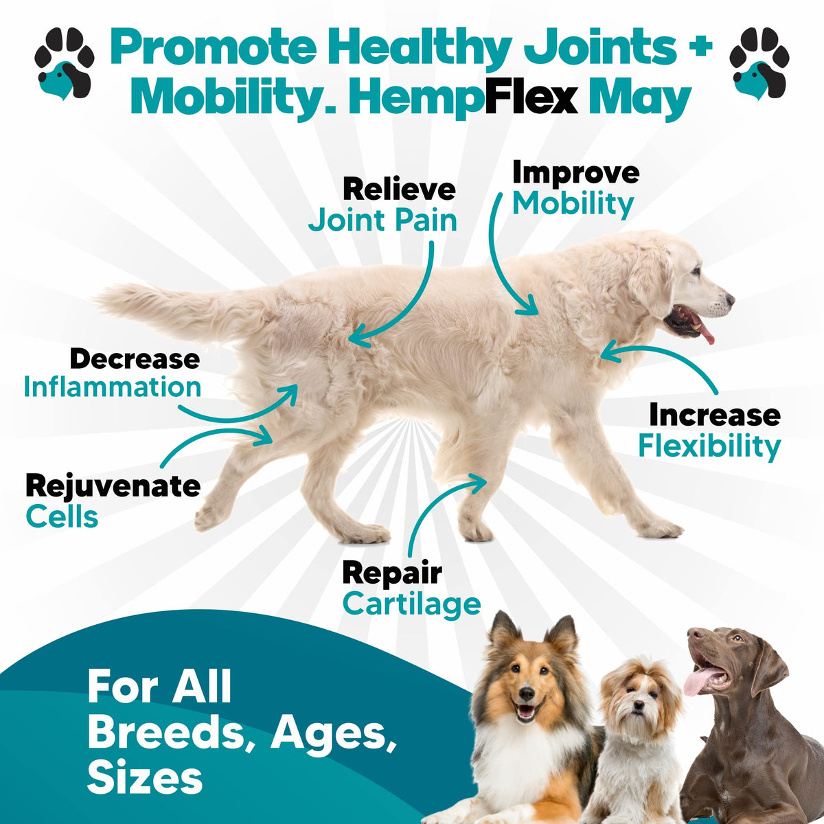 Glucosamine for Dogs Hip and Joint Supplement Soft Chews V1765