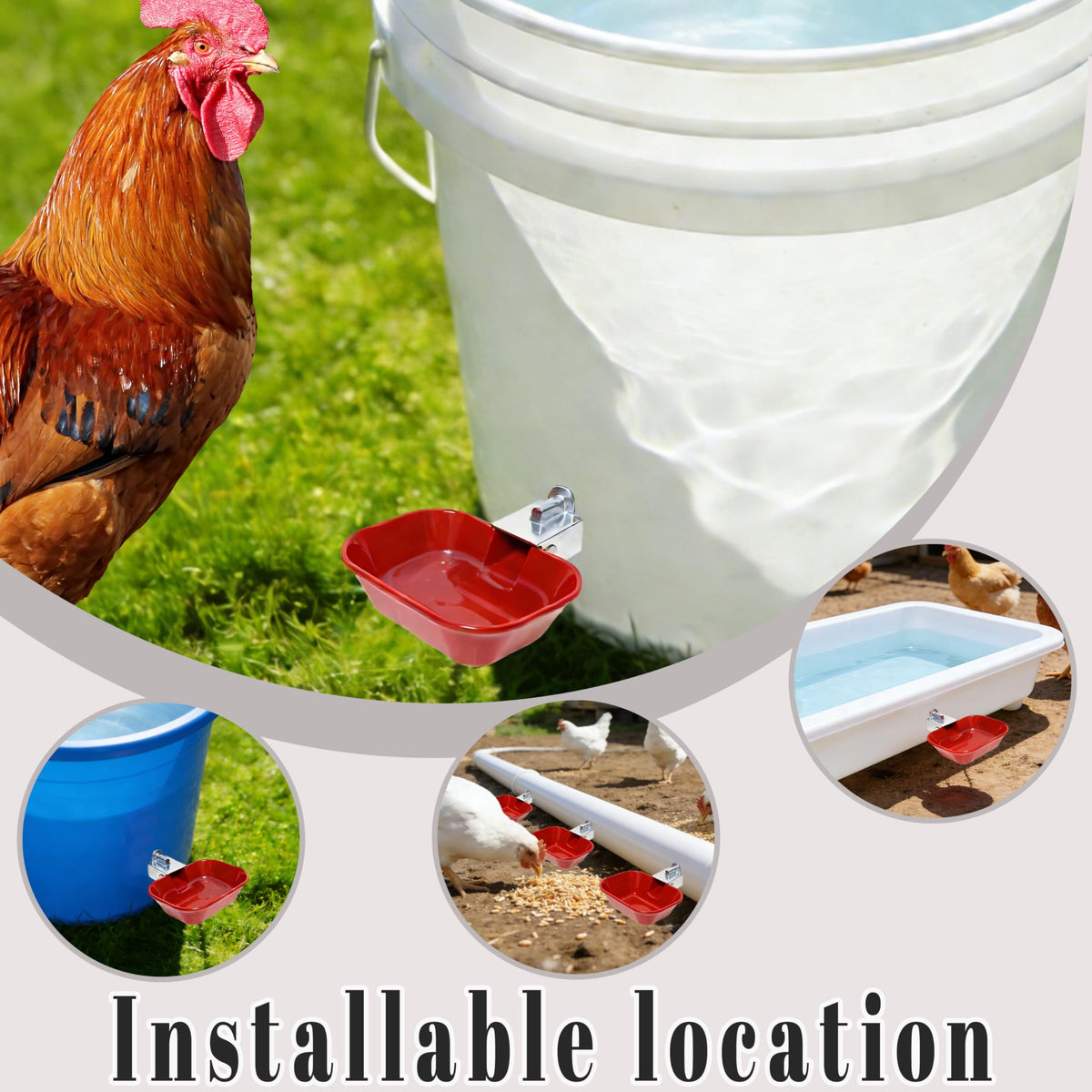 Aluminum Alloy Chicken Waterer Feeder M75503