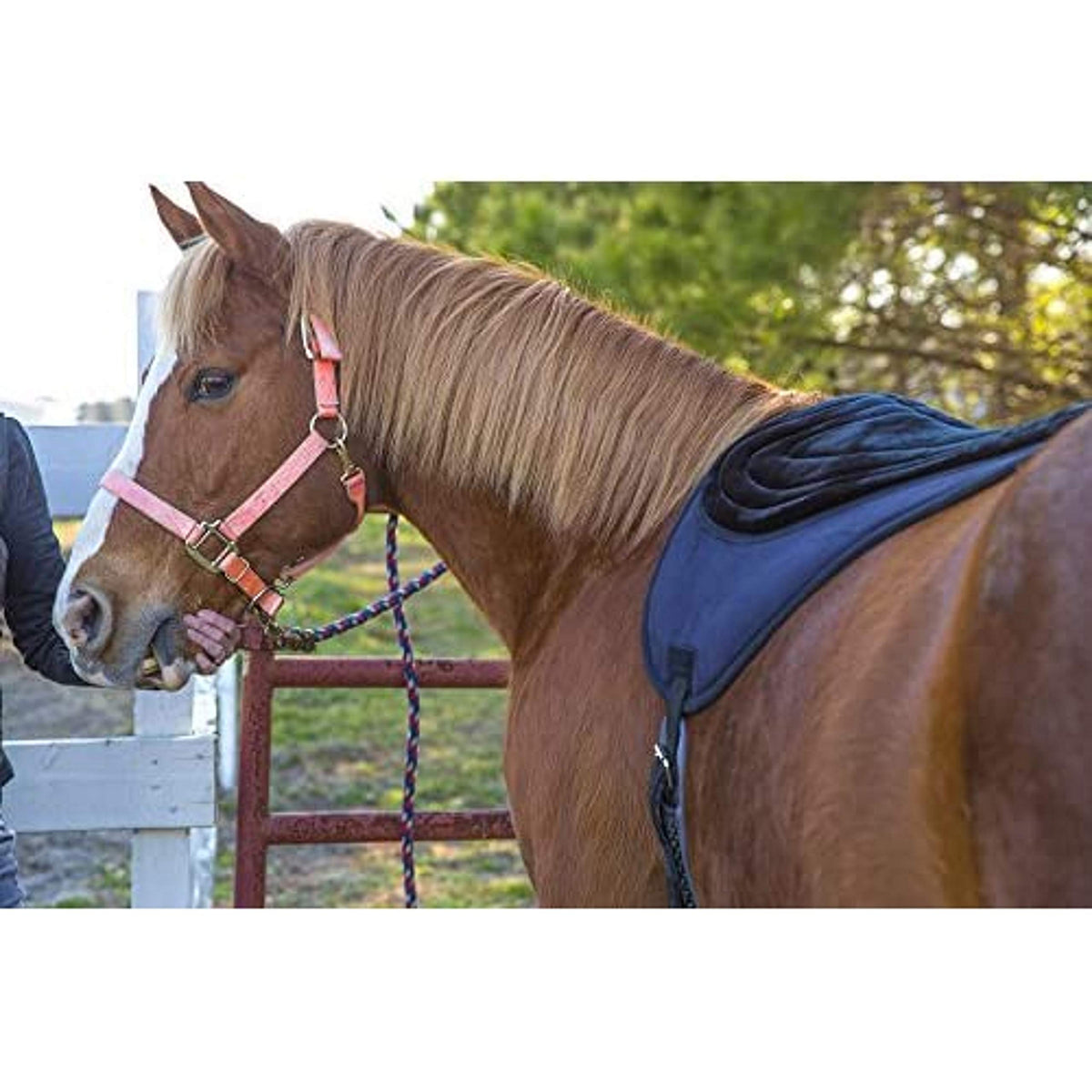 Black Bareback Pad P69535