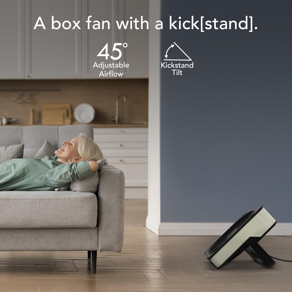 20 Inch High Velocity Box Fan F565