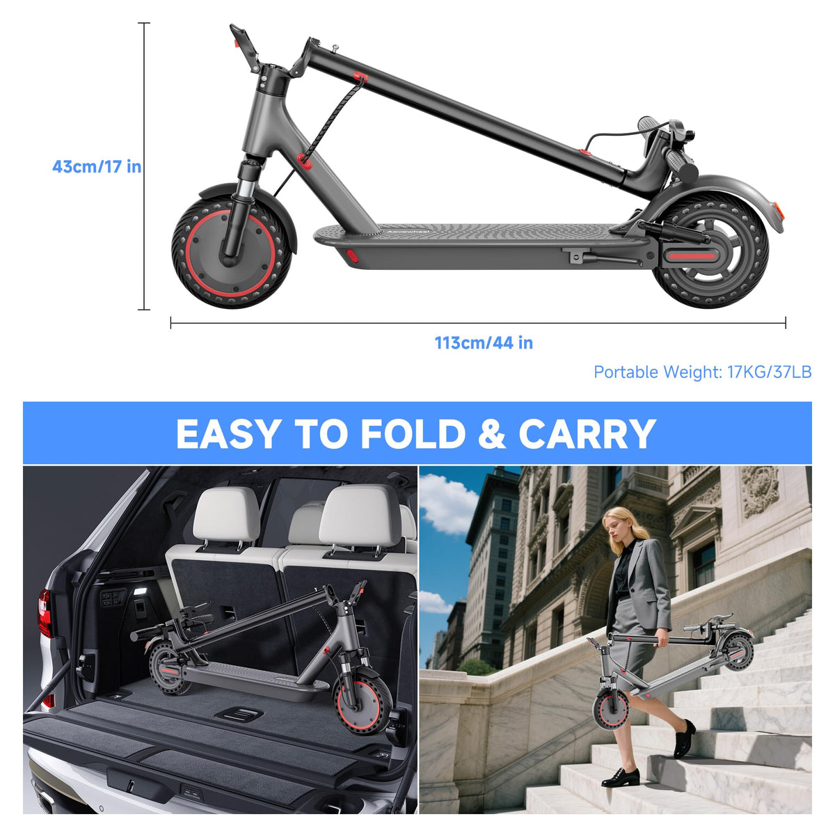 Folding Electric Scooter with 250W-500W Motor U8690