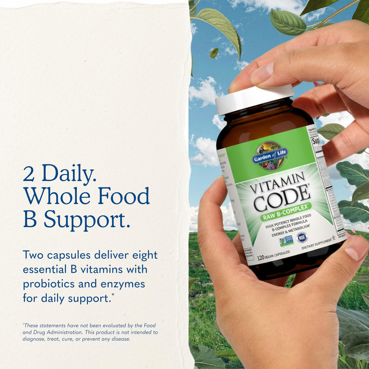120 Vegan Capsules B-Complex S5153