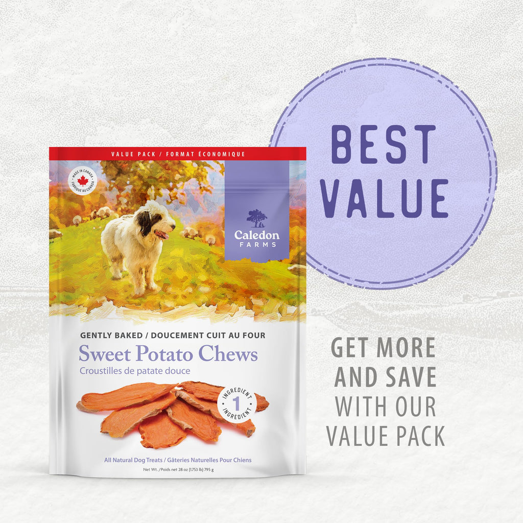 Sweet Potato Chews Dog Treats 28oz P599