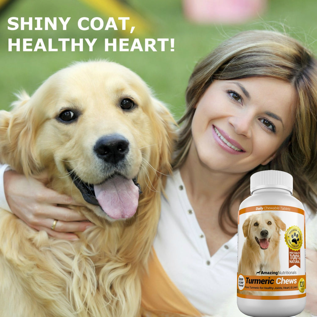 Turmeric Probiotics for Dogs Digestive Health Bundle V723