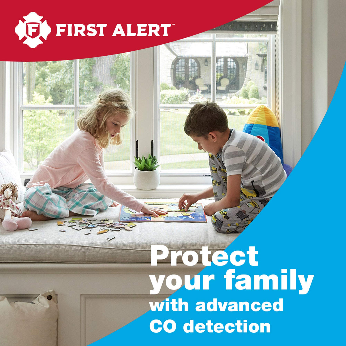 Battery Carbon Monoxide Alarm C811319