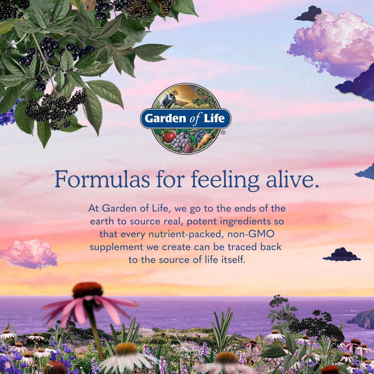 120 Vegan Capsules B-Complex S5153