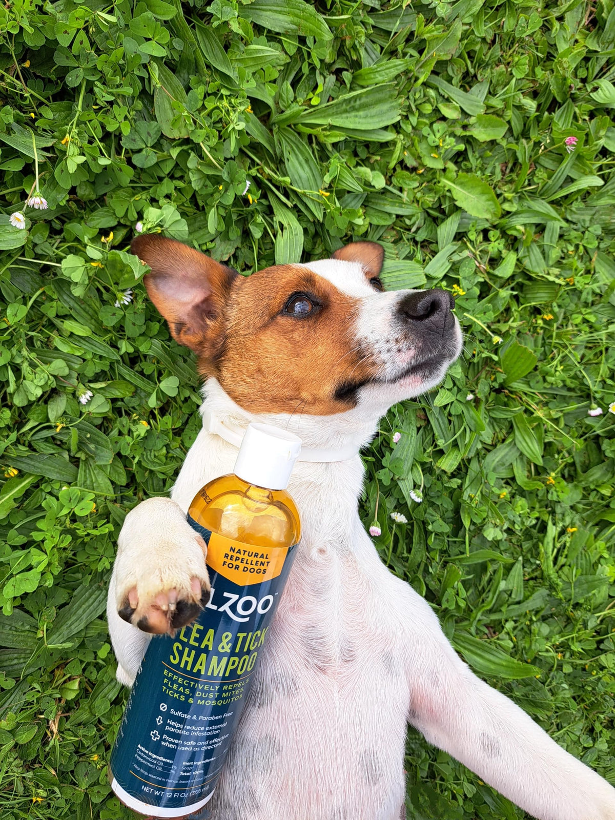 Plant Based Flea and Tick Repellent Dog Shampoo 12 Fl. Oz. L26284